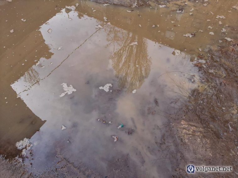 Фото: Volganet.net