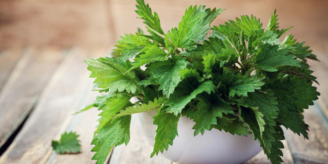 Хлеб с крапивой: белорусский производитель сделал ставку на здоровое питание