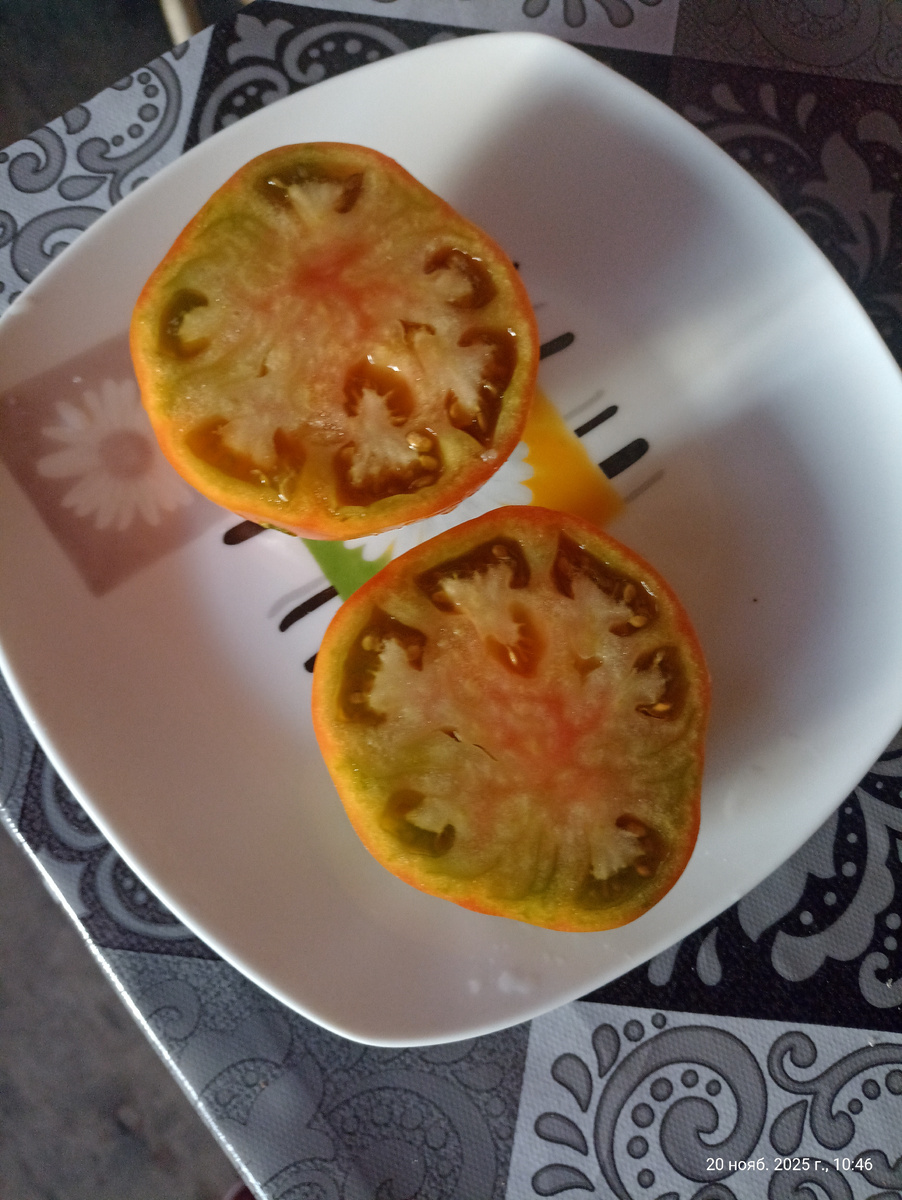 Последнюю Тайгу 20 ноября слопала