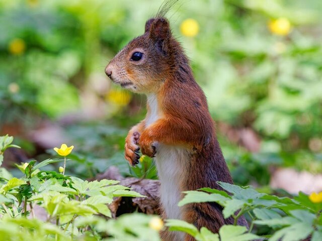    Фото: портал мэра и правительства Москвы/Сосницкий Олег