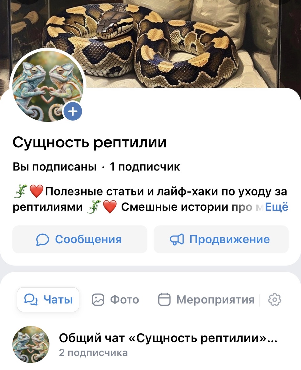 Так выглядит сообщество «Сущность рептилии» в ВК