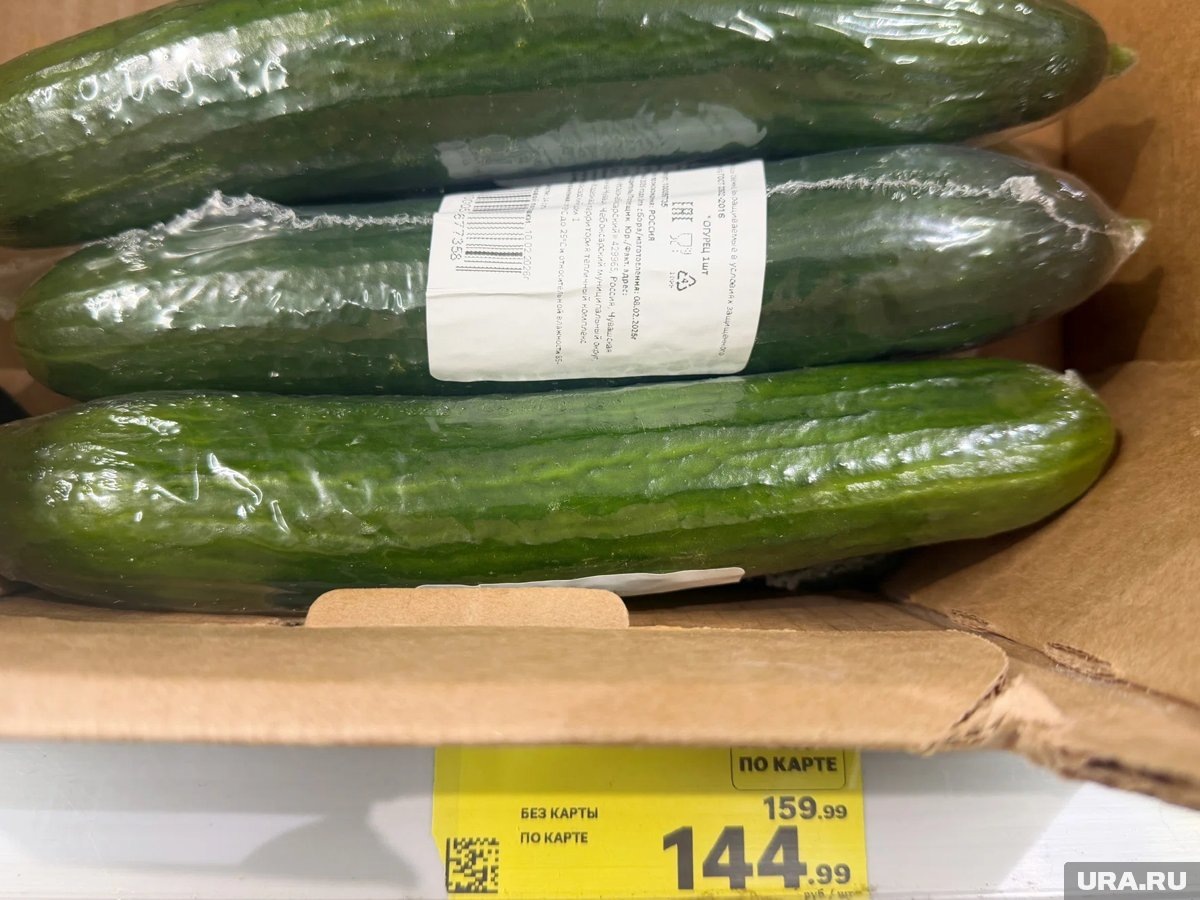     В супермаркетах Кургана подорожали огурцы