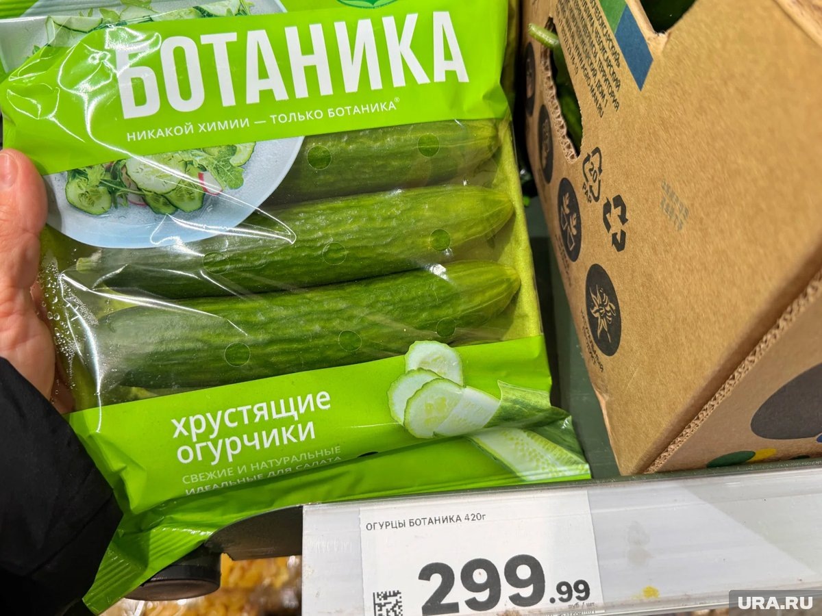    Цена на огурцы в Кургане 17 февраля