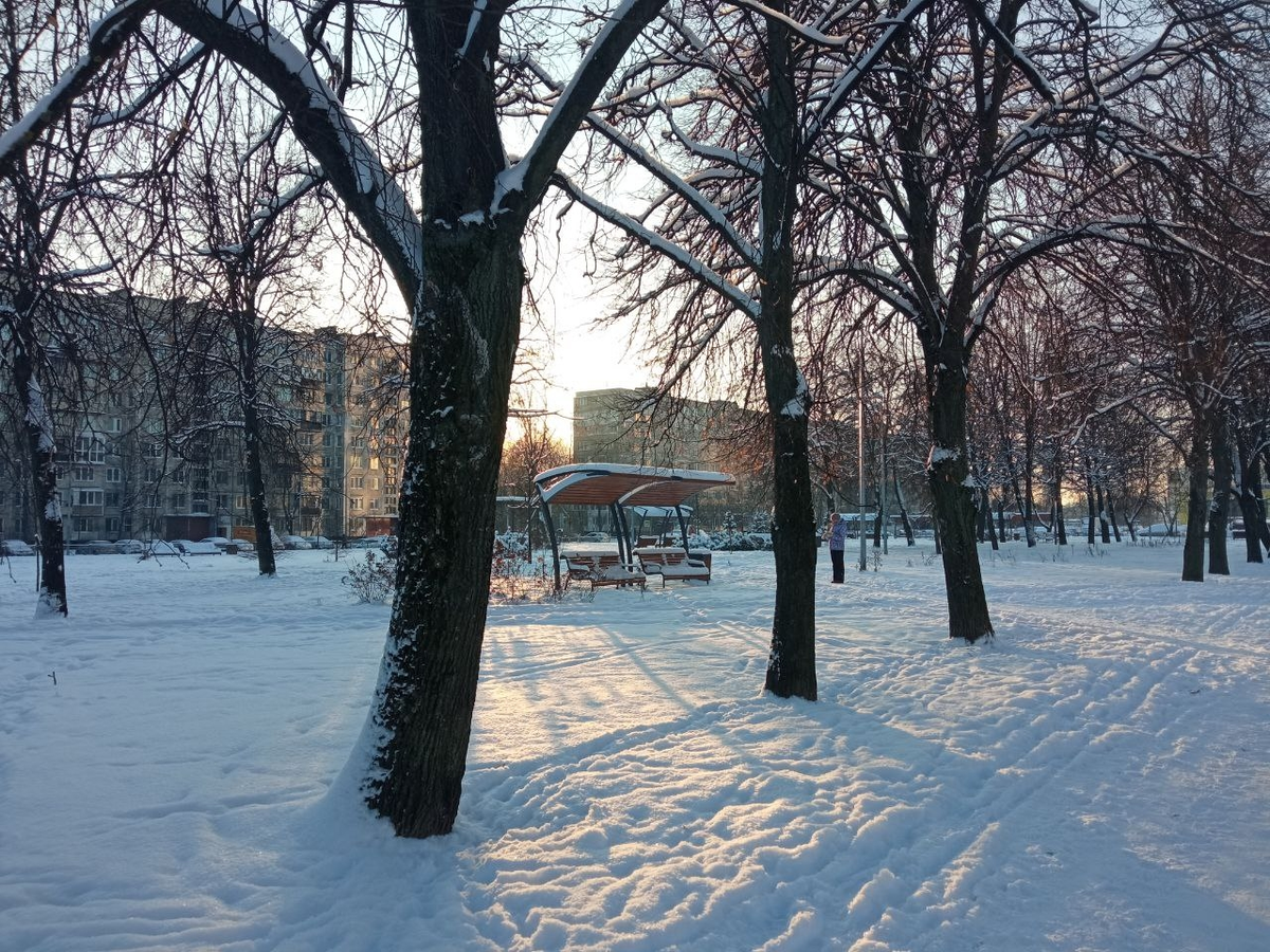 Почти каждый день выбираюсь на прогулку в наш парк.
