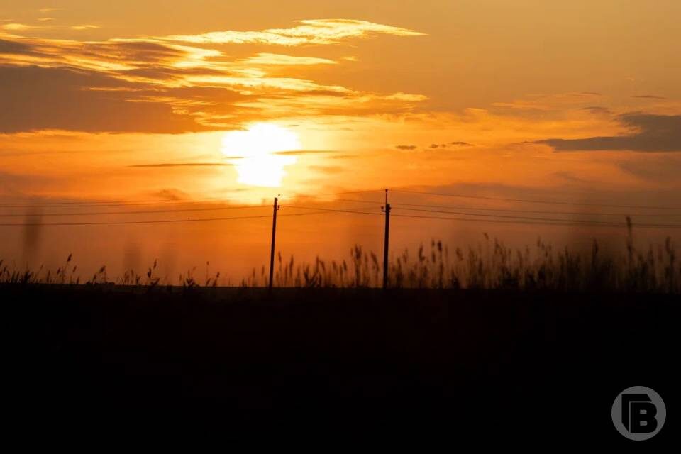    Фото: "Городские вести"