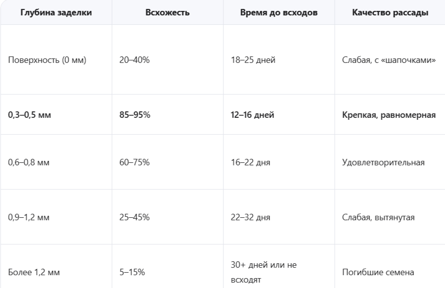 Как глубина влияет на всхожесть и качество рассады: