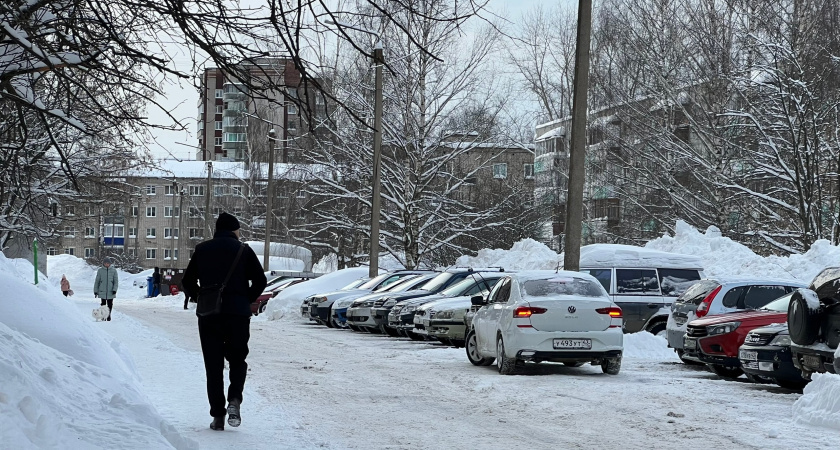    Фото progorod43.ru