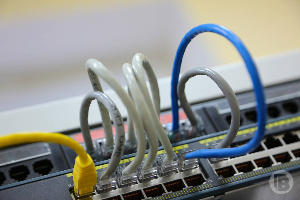    Фото: Дмитрий Рогулин / "Городские вести"