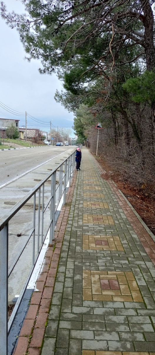 Дорога до винодельни