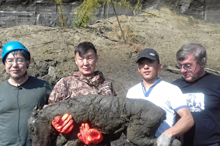 Яндекс картинки