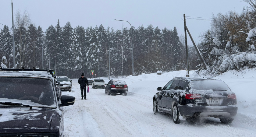    Фото prochepetsk.ru