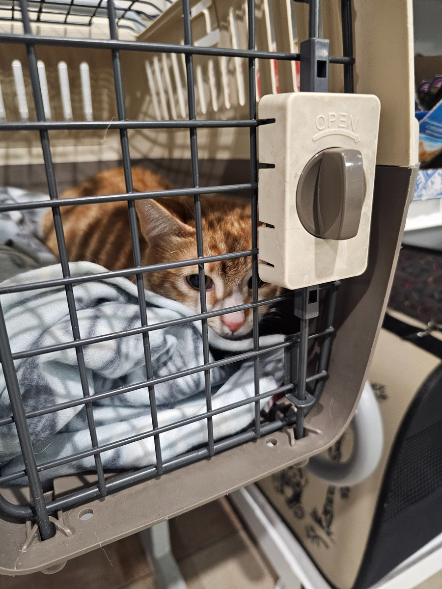 Фото автора. Софийка.