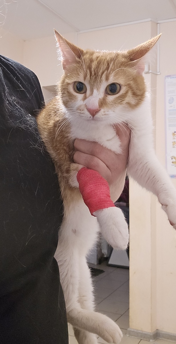 Фото автора. В клинике с Софийкой.