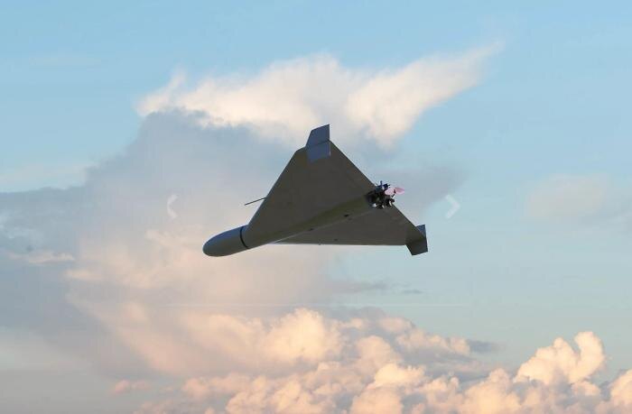 Обложка © Shutterstock / FOTODOM / Anelo