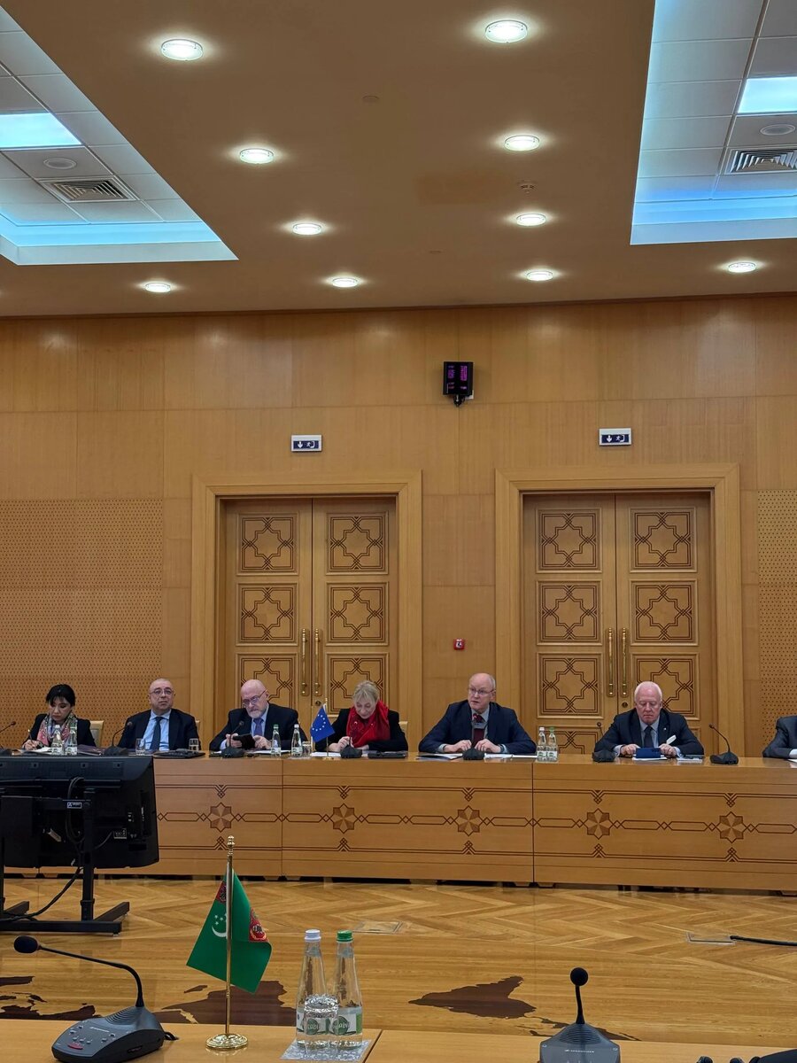    Цветокоррекция оригинального изображения была произведена с использованием ИИ "Ниязов 2.0"