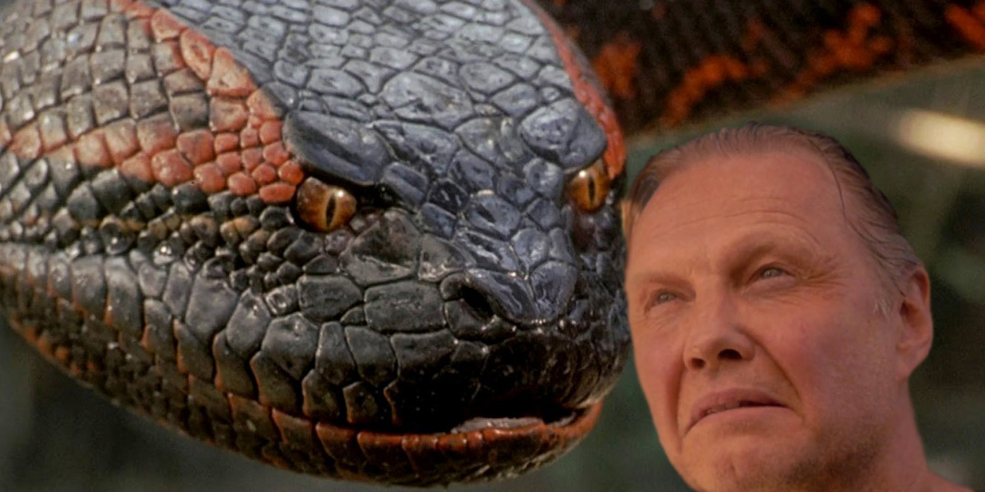 Может ли анаконда съесть человека?