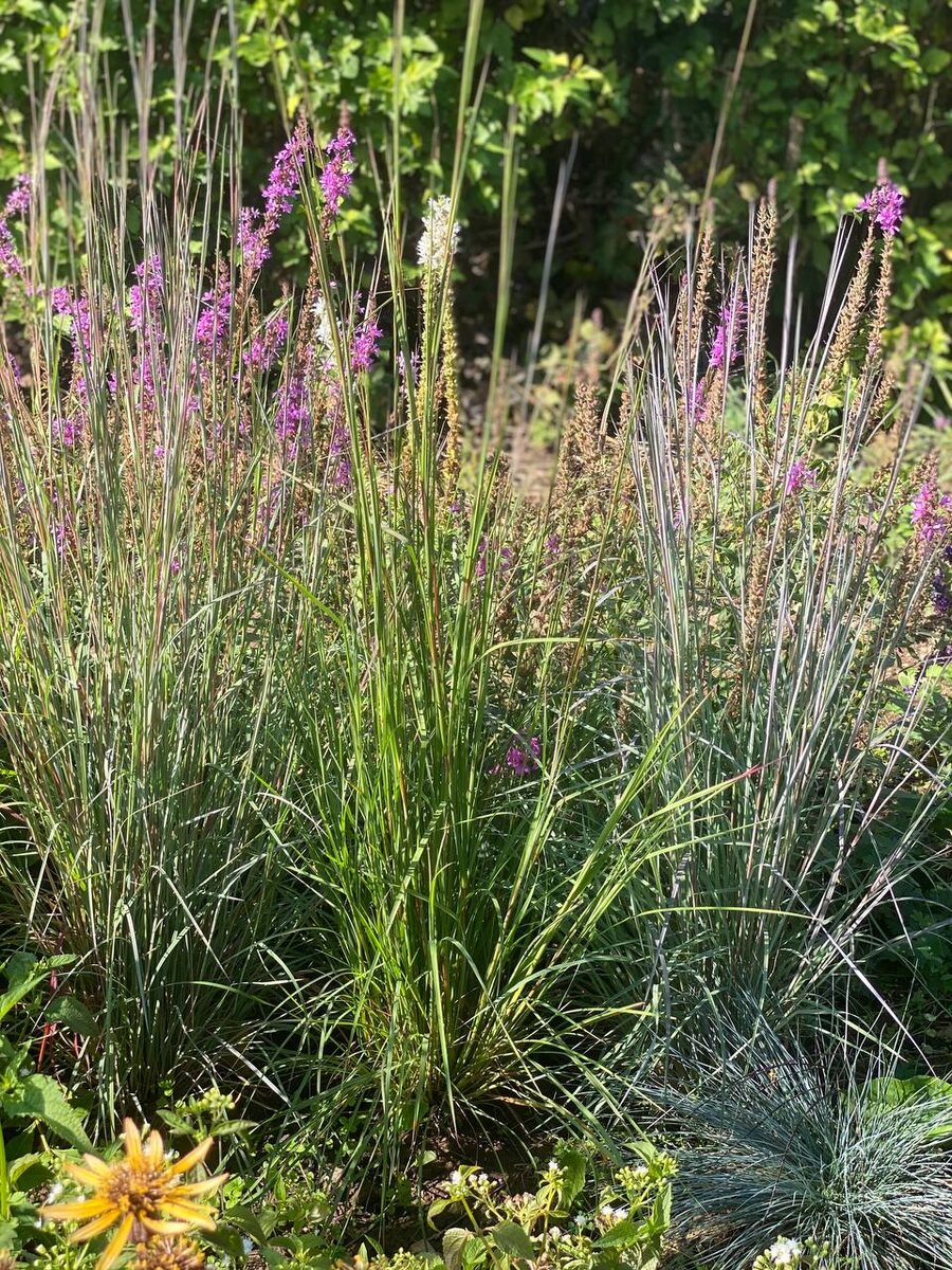 4. В галерее 7 фото, листайте