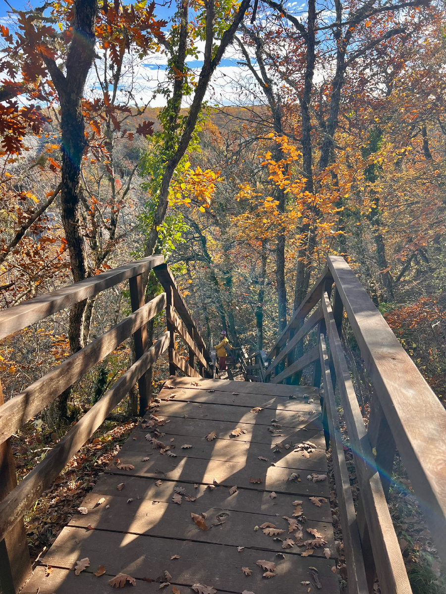 Лестница в Алимовой балке