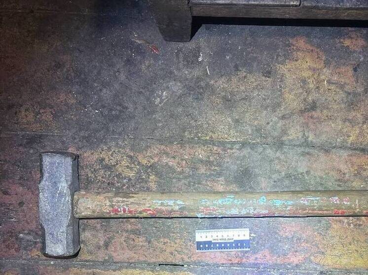     Фото: следком ДНР