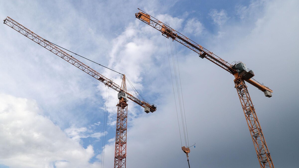    Фото: Belkin Alexey/globallookpress.com