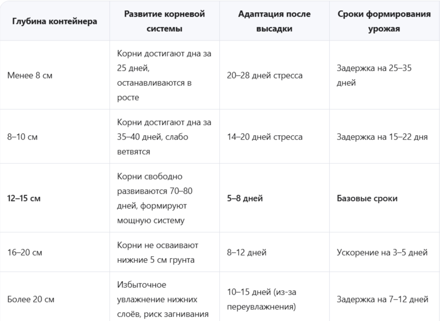 Как глубина влияет на развитие рассады и урожайность