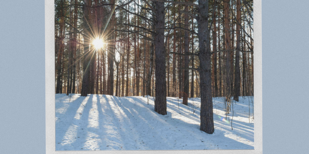 Почему другие не делают то, что для нас очевидно?