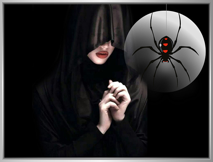 Изображение взято с интернет ресурса https://pikabu.ru/tag/%D0%9C%D0%B8%D1%81%D1%82%D0%B8%D0%BA%D0%B0%2C%D0%A1%D0%B5%D0%BC%D1%8C%D1%8F?page=10