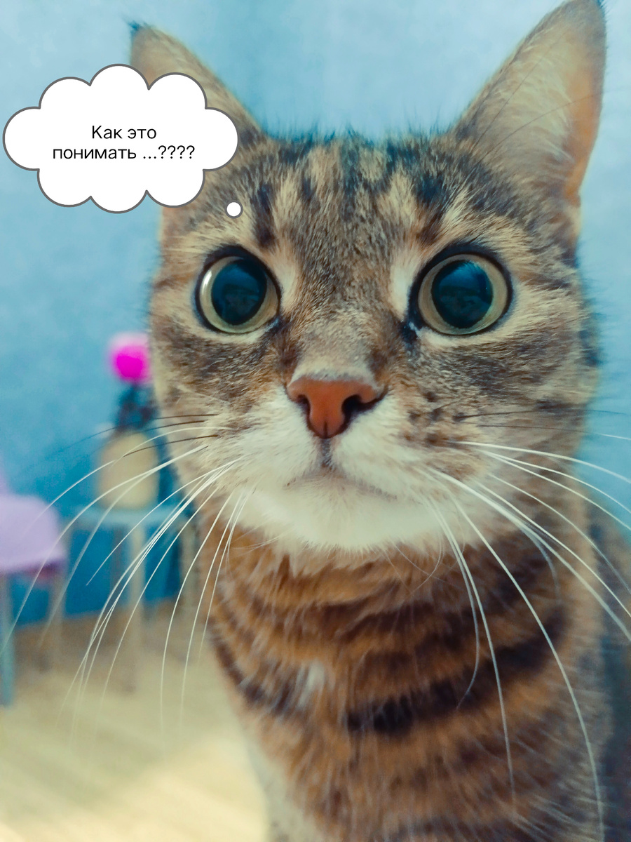 Изображение создано автором канала "ГерАтриум"