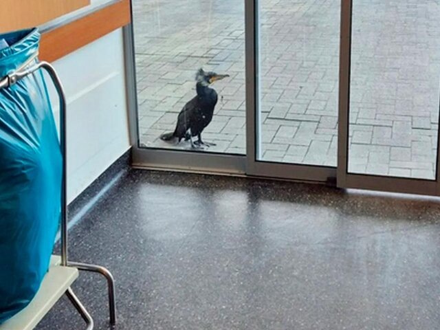    Фото: huffpost.com