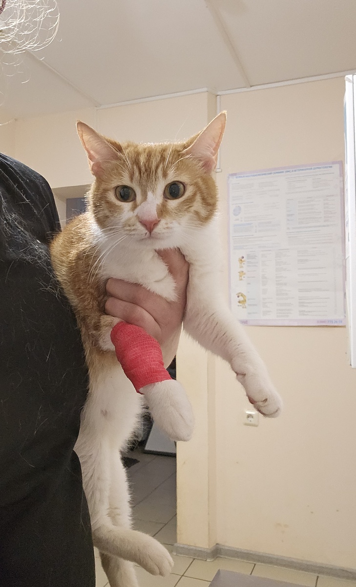 Фото автора. Софийка.