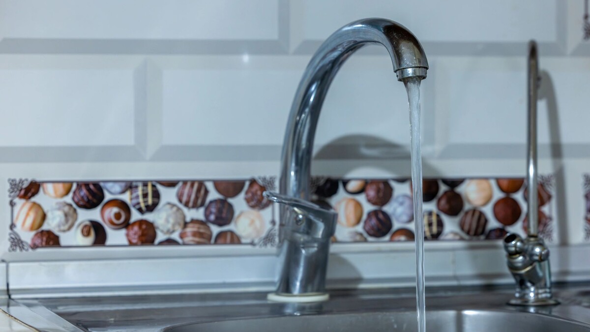    Фото: Федор Воронов / «Ямал-Медиа»