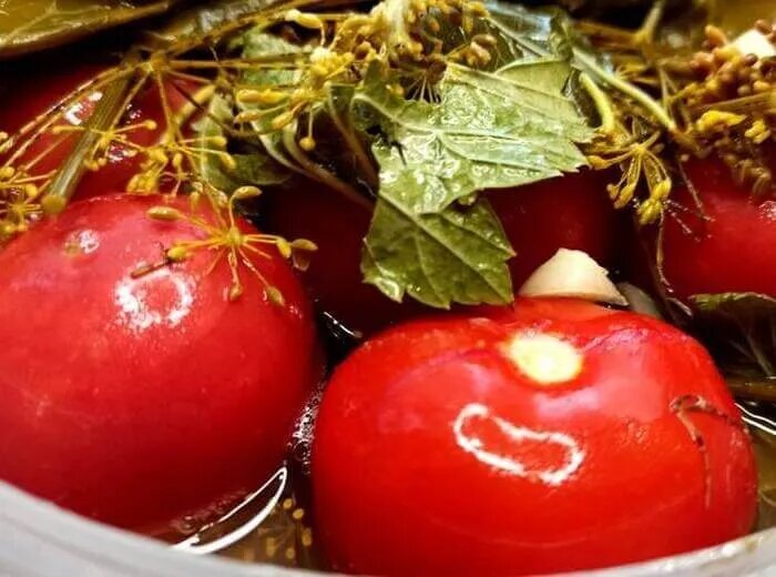 Квашеные помидоры с чесноком и зеленью