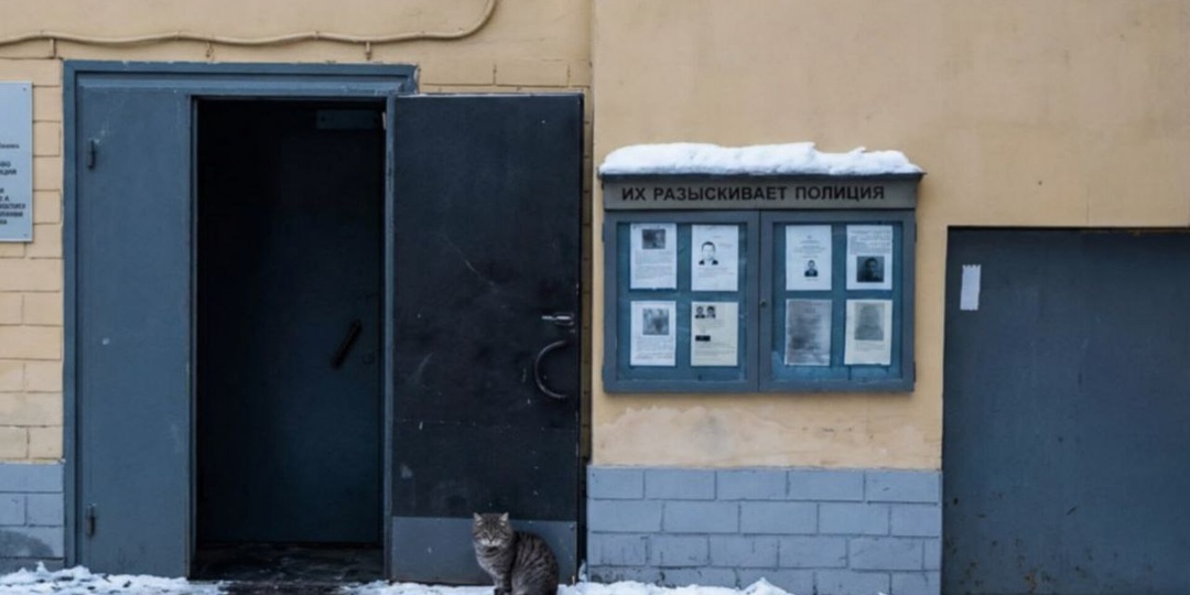 Кота пришлось прятать от начальства: котёнок выживал на улице, пока не добрел до полиции