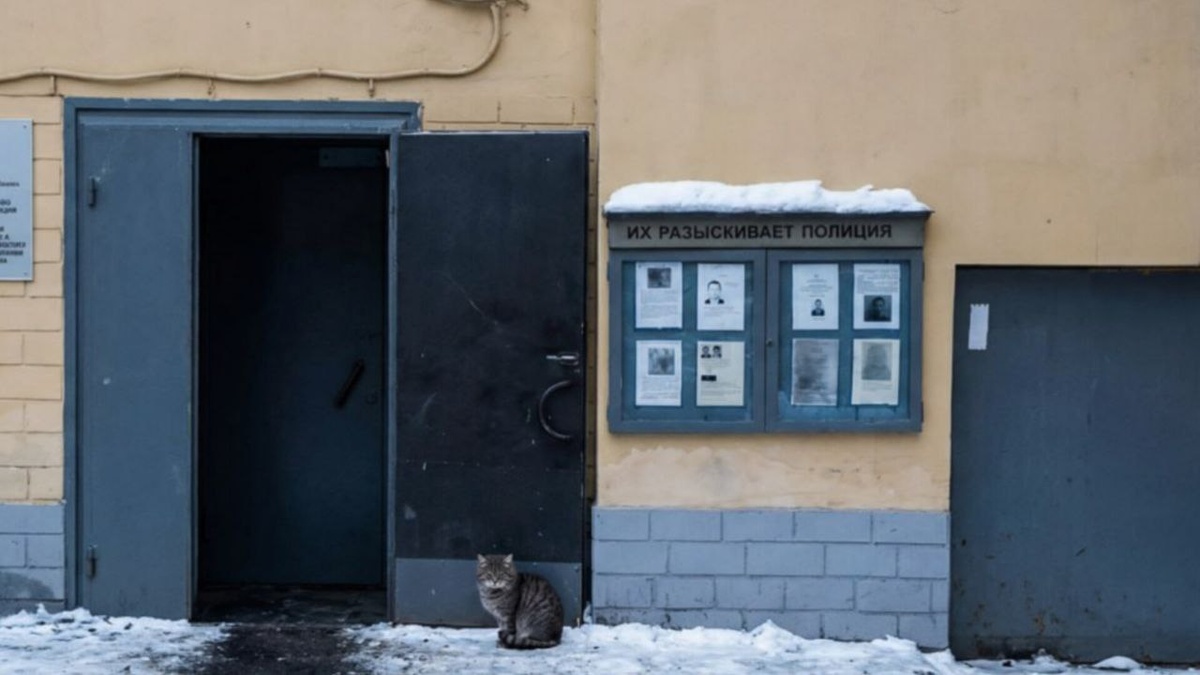 Кот у входа в отделение полиции. Иллюстрация