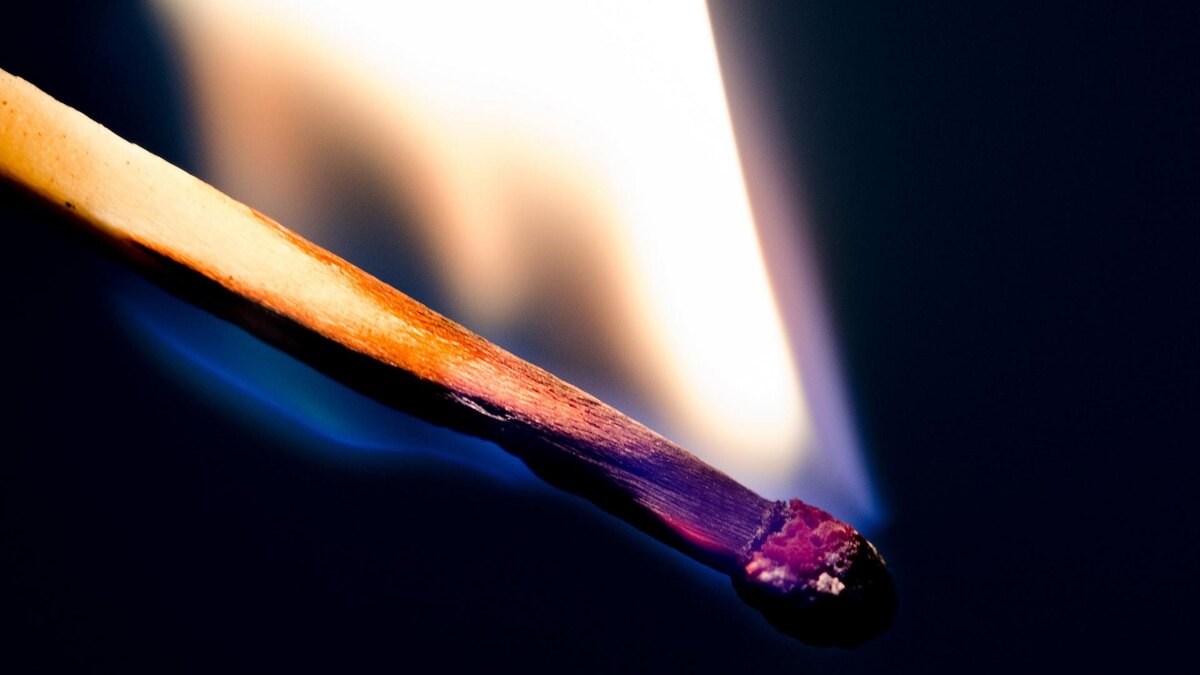    Фото: pxhere.com