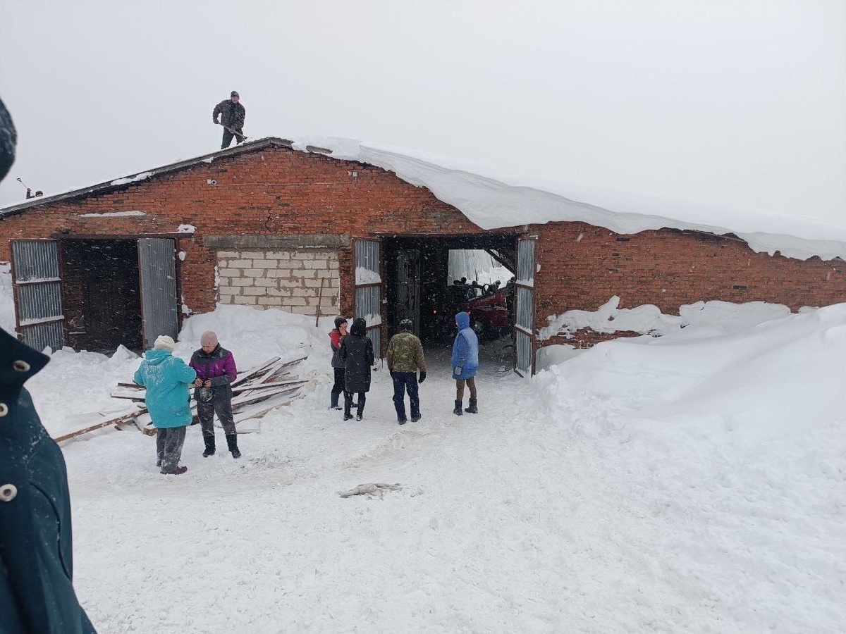    30 коров оказались под завалами при обрушении крыши коровника в Удмуртии