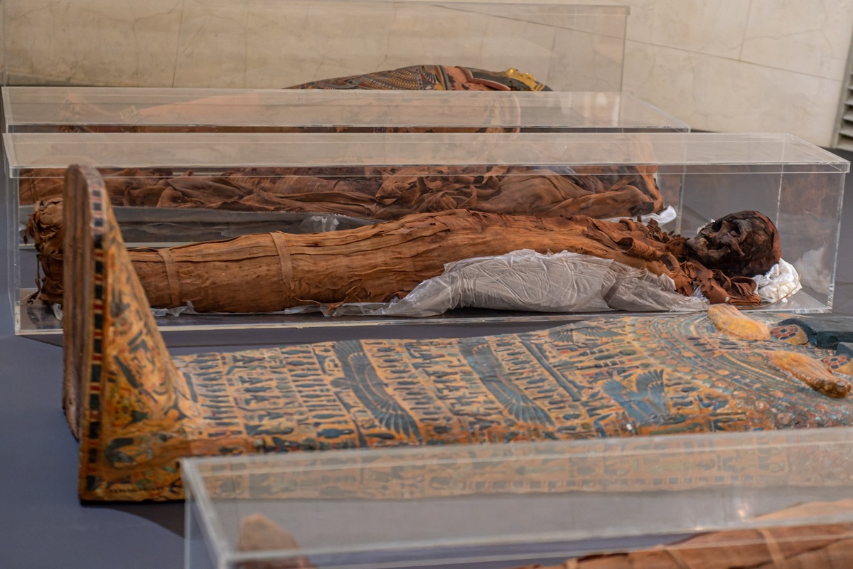     Мумия в музее изобразительных искусств (ГМИИ) имени А.С. Пушкина / Legion-Media / Комсомольская правда / PhotoXPress.ru