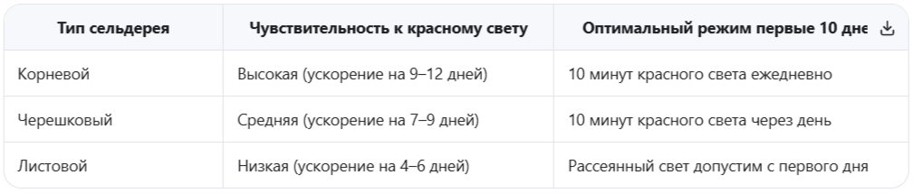 Отличия между типами сельдерея