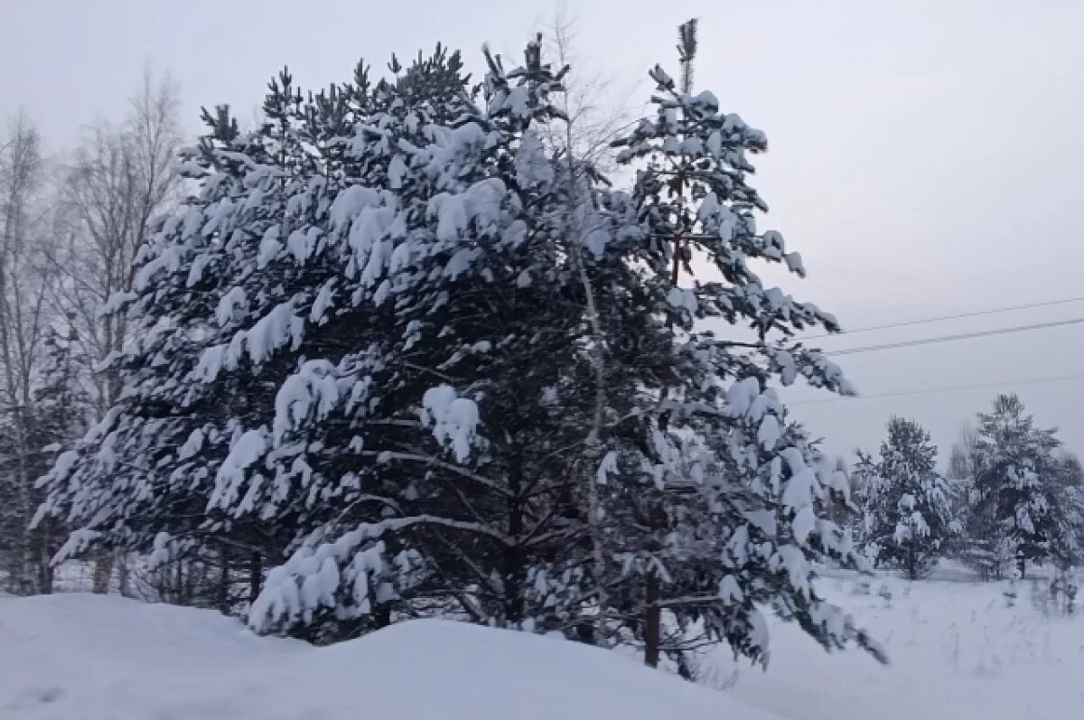    Туляков предупреждают о метели и снежных заносах 19 февраля