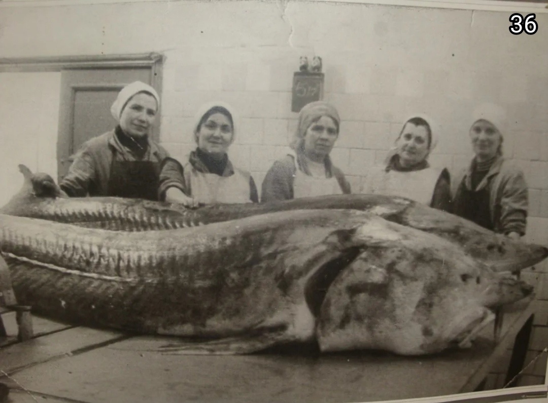 Фото: взято из Яндекс картинки. 