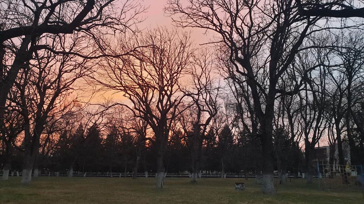 Вечерняя зорька