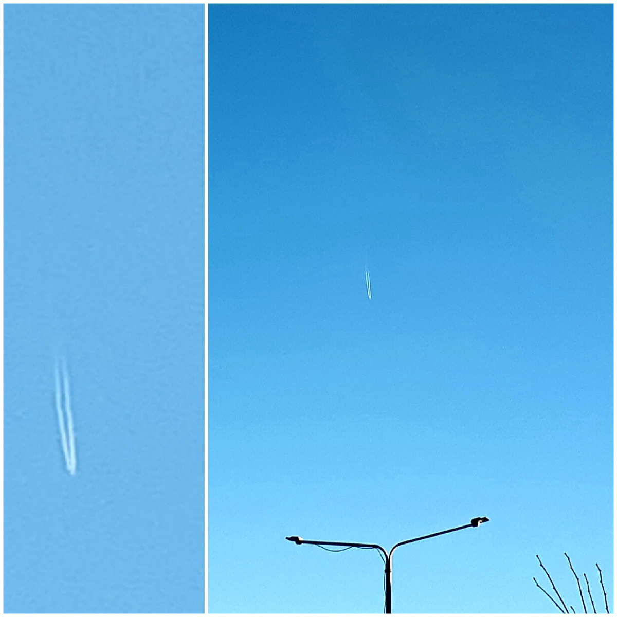 Коллаж автора 17.02.2026г.