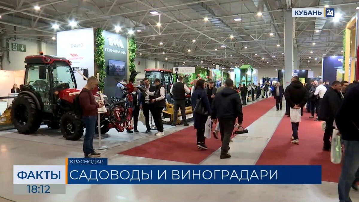    Скриншот видео телеканала «Кубань 24»