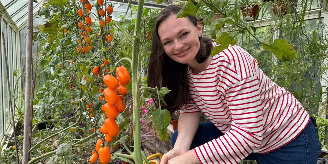 Секреты посева томатов