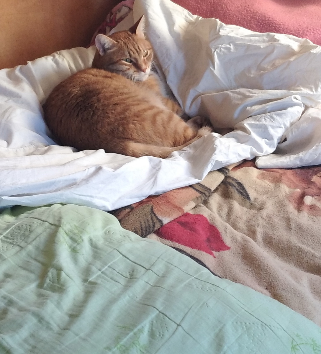 личное  фото