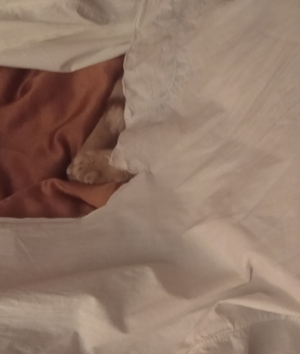 личное  фото