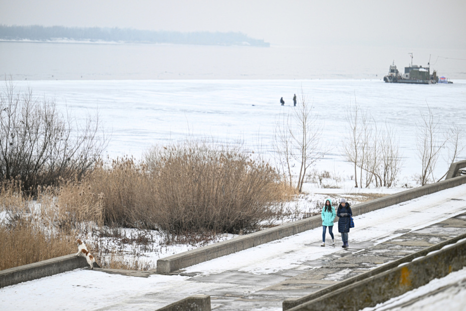   Павел Бедняков/РИА Новости