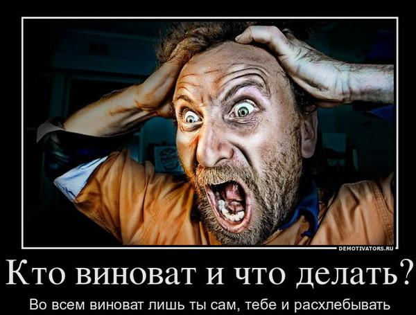 Что важнее: "что делать?" или "кто виноват?"?