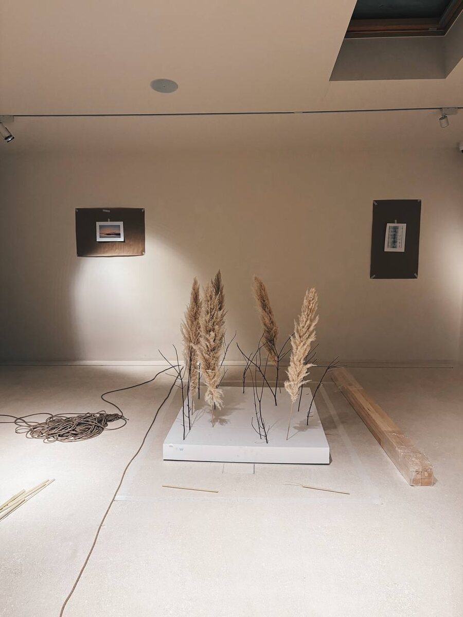    В центре культуры «Солодовня» откроется новая выставка (фото 2)