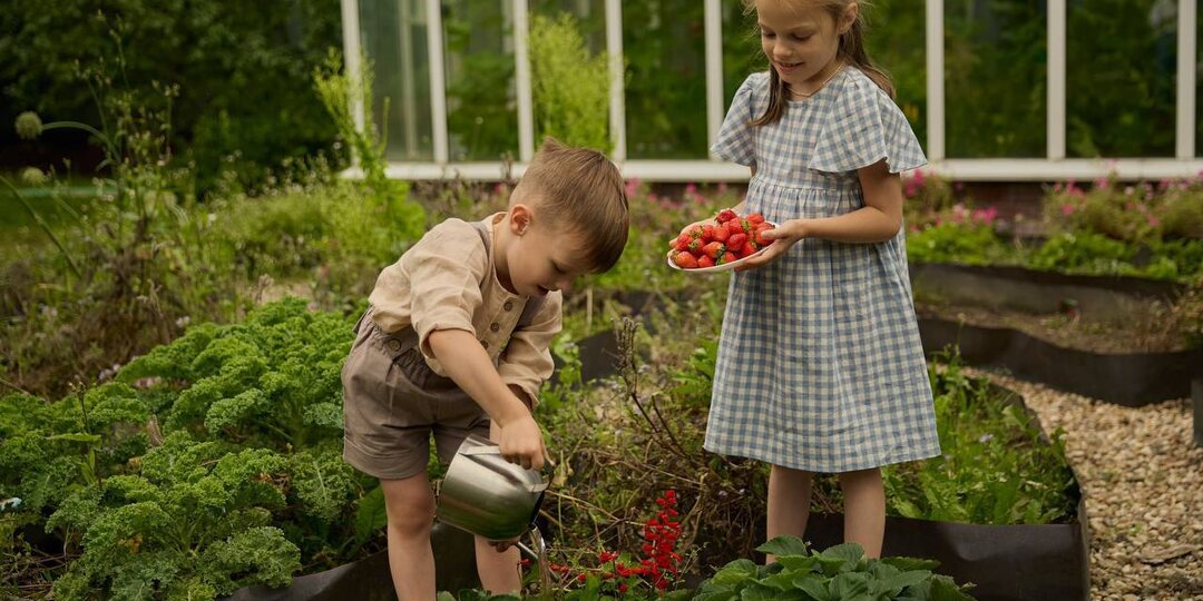 Оздоравливаем грядки к новому сезону!